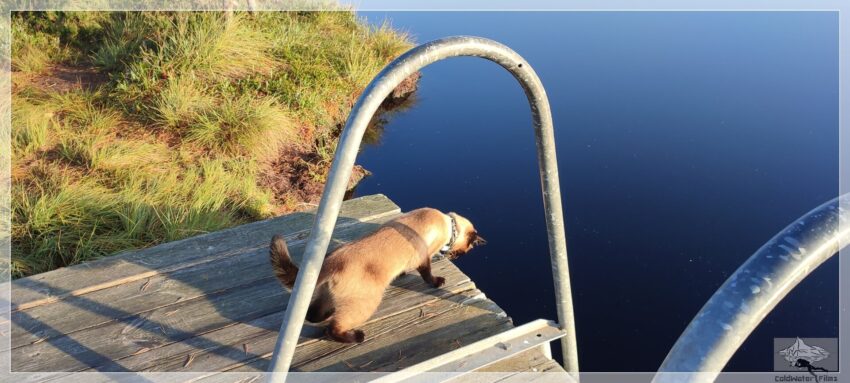 Ist das Wasser?, Soomaa Nationalpark, Estland