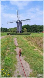 Die Windmühle muss ich sehen! Die Windmühle muss ich sehen!, Bourtange, Niederlande